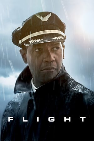 Flight (2012) Hindi Dual Audio 720p BluRay [1GB] - Movierulz